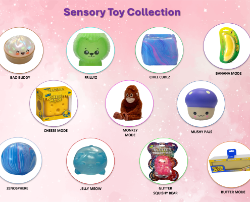 NYS Life’s sensory toy collection | Mr. Checkout